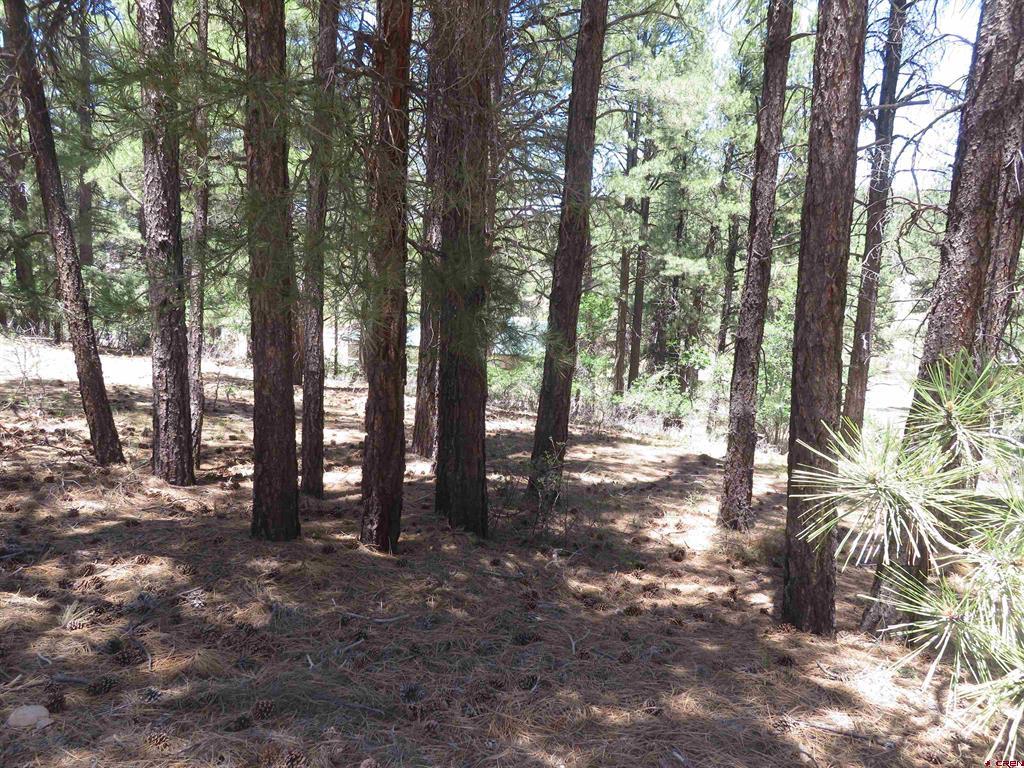 500 Coronado Circle Pagosa Springs CO 81147