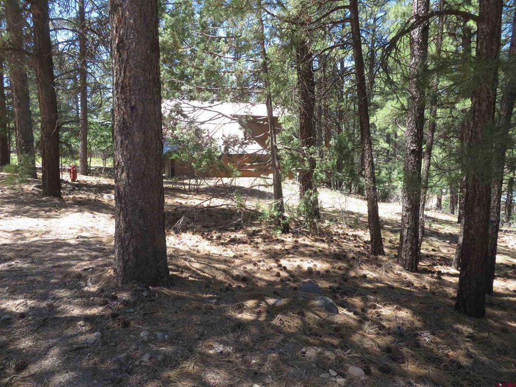 500 Coronado Circle Pagosa Springs CO 81147