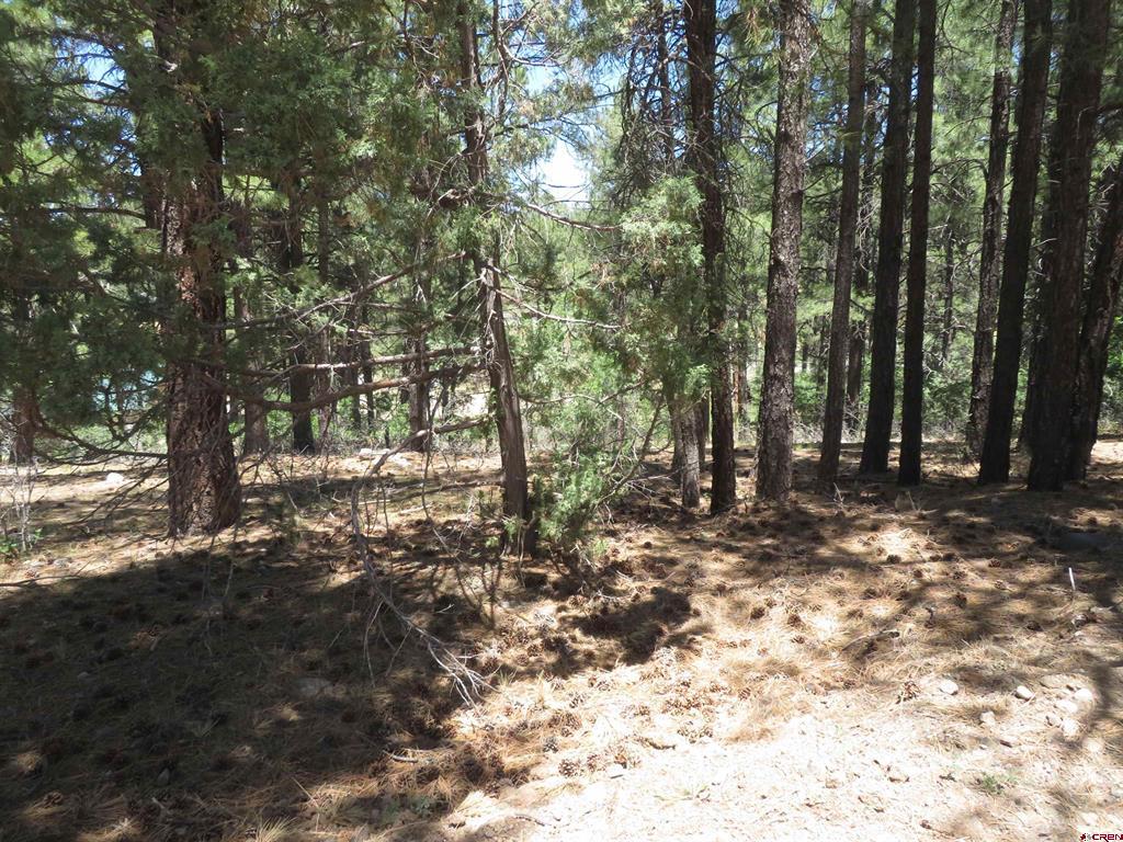 500 Coronado Circle Pagosa Springs CO 81147