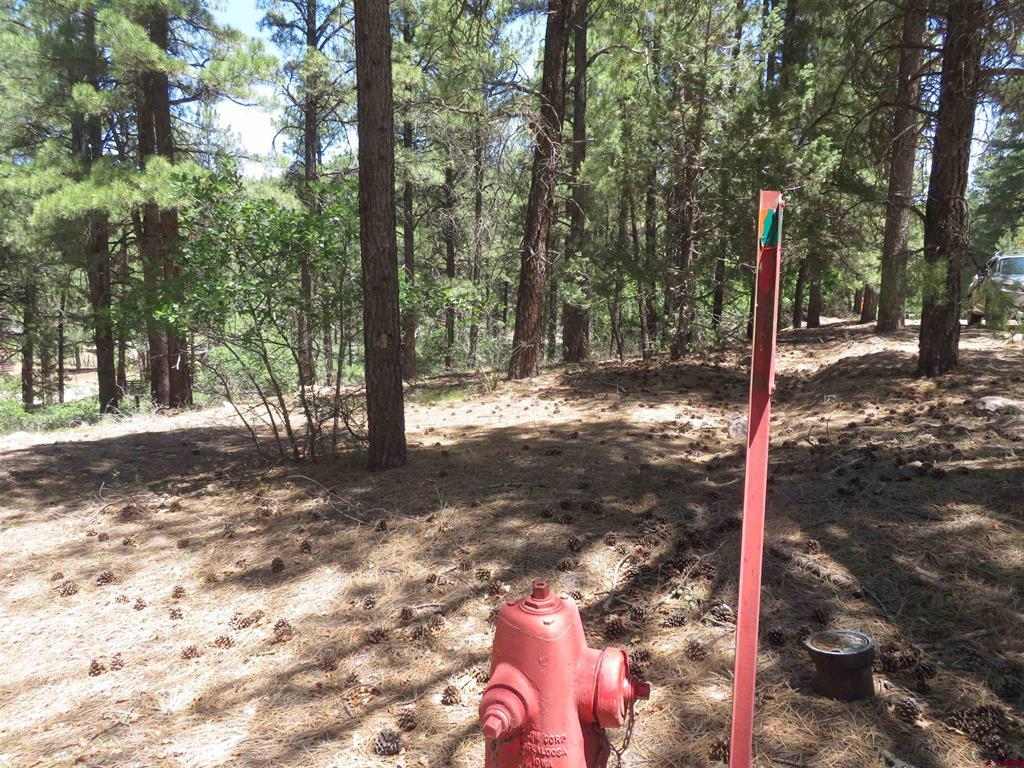 500 Coronado Circle Pagosa Springs CO 81147
