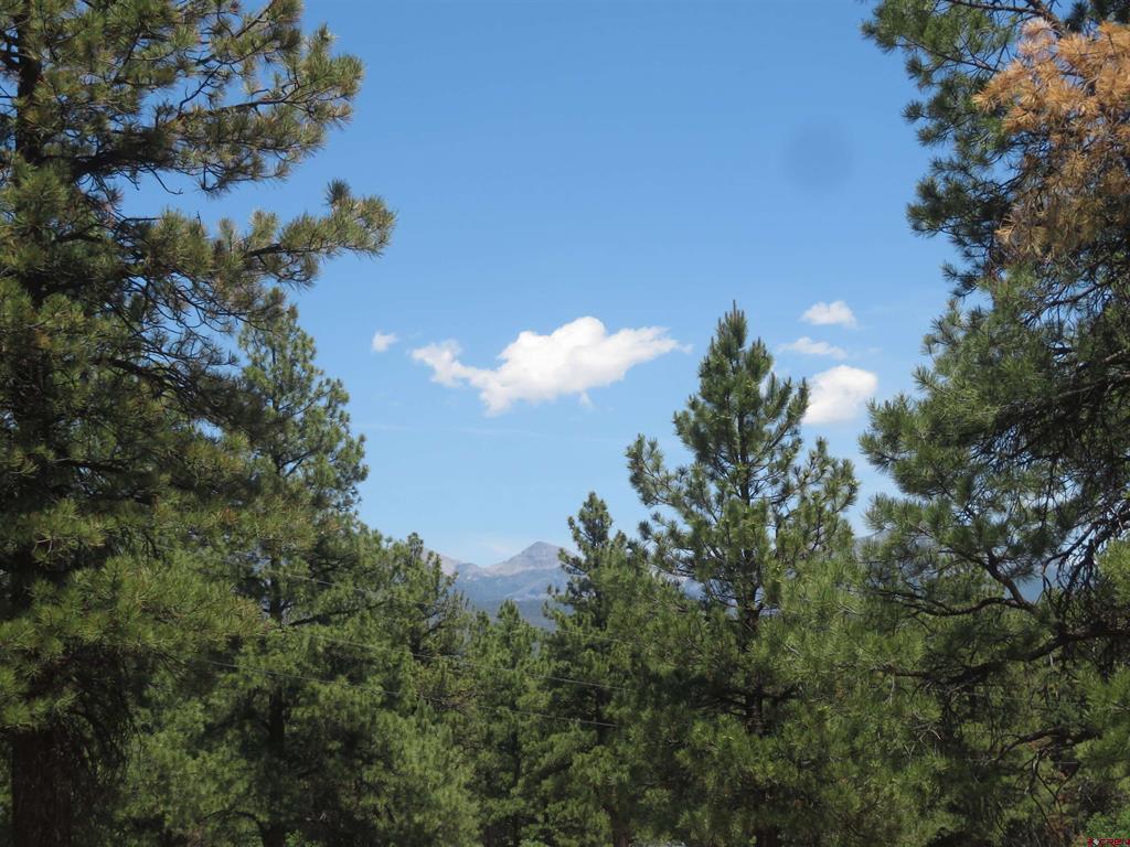 500 Coronado Circle Pagosa Springs CO 81147