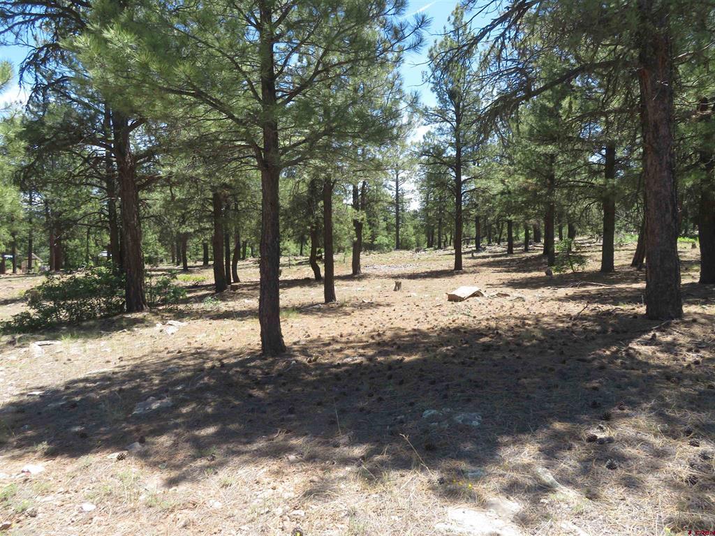 500 Coronado Circle Pagosa Springs CO 81147