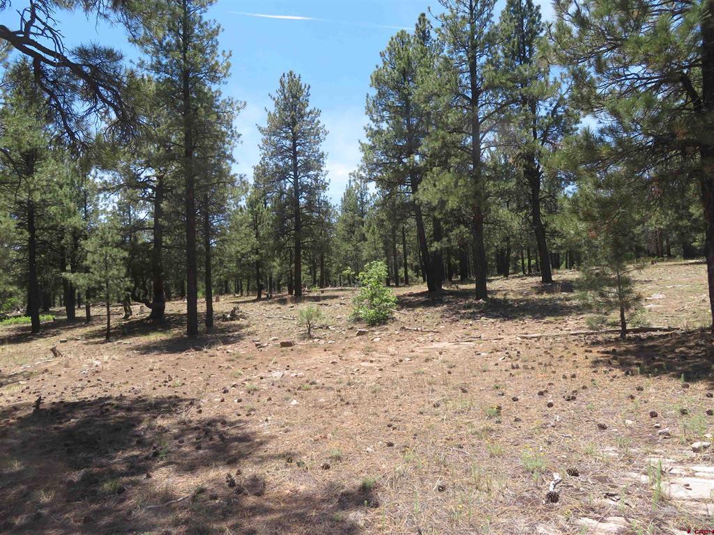 500 Coronado Circle Pagosa Springs CO 81147