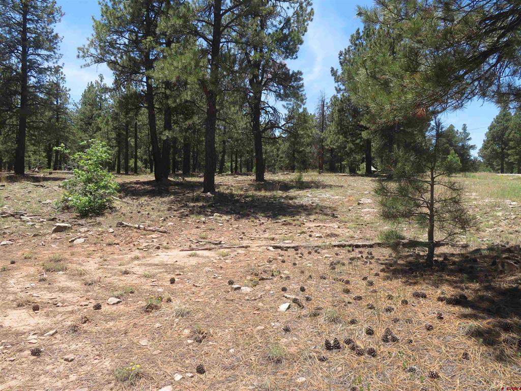 500 Coronado Circle Pagosa Springs CO 81147