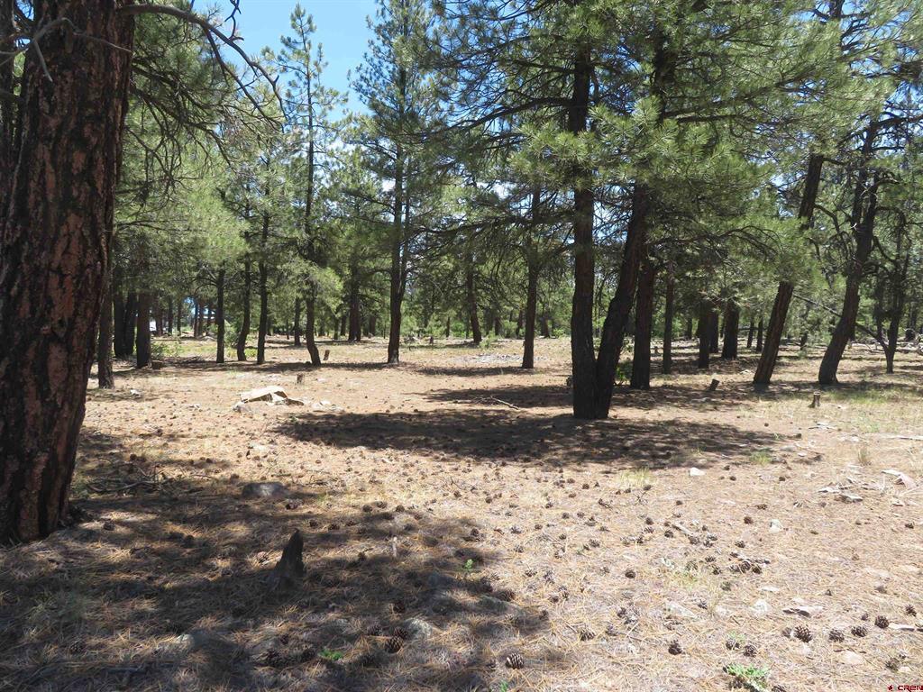 500 Coronado Circle Pagosa Springs CO 81147