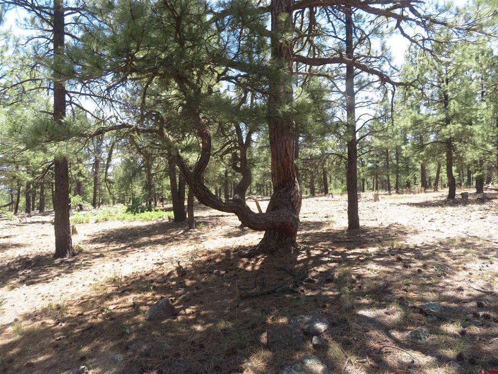 500 Coronado Circle Pagosa Springs CO 81147