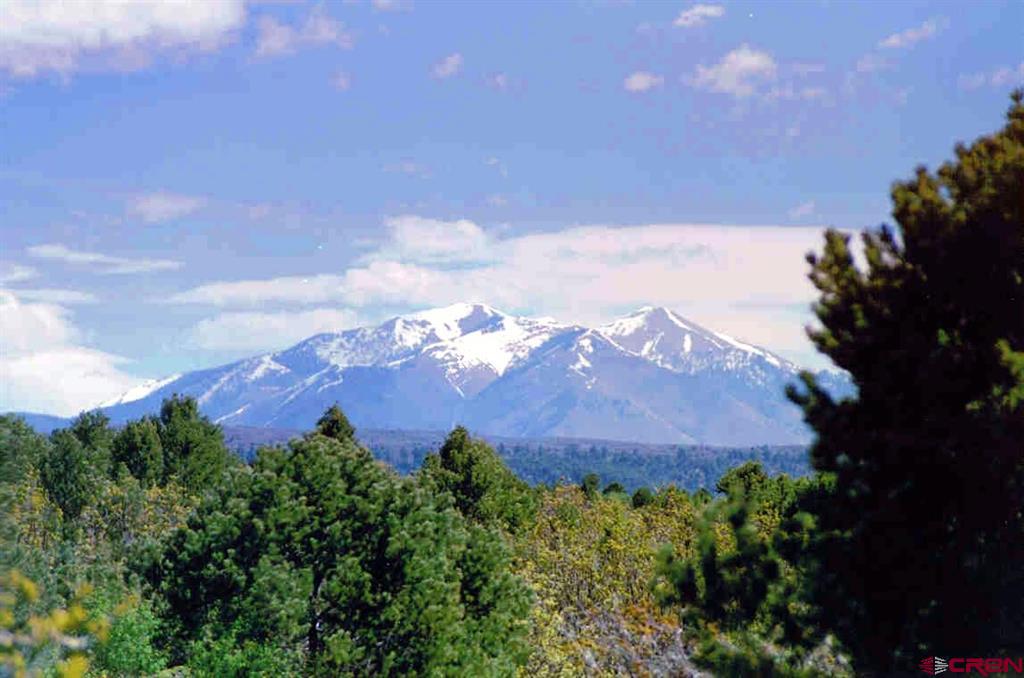 Tbd De Oro Way Hesperus CO 81326