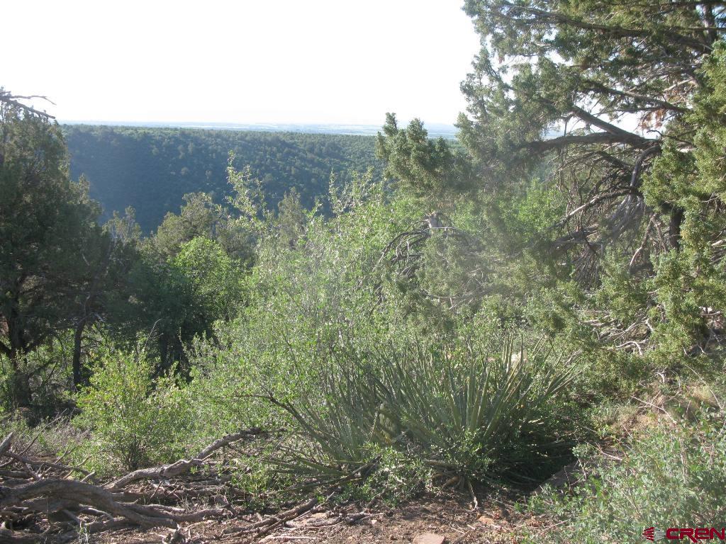 Tbd De Oro Way Hesperus CO 81326