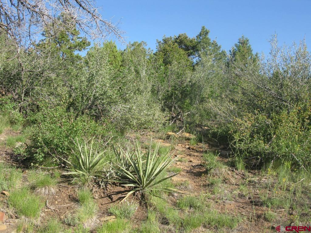 Tbd De Oro Way Hesperus CO 81326