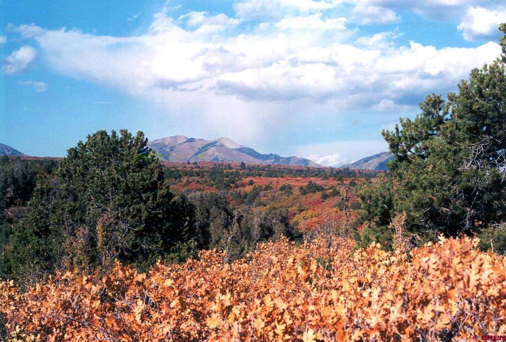 Tbd De Oro Way Hesperus CO 81326
