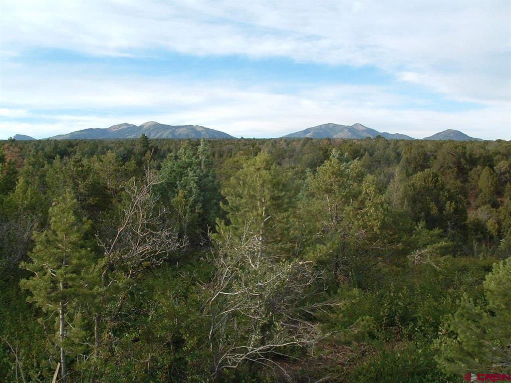 Tbd De Oro Way Hesperus CO 81326