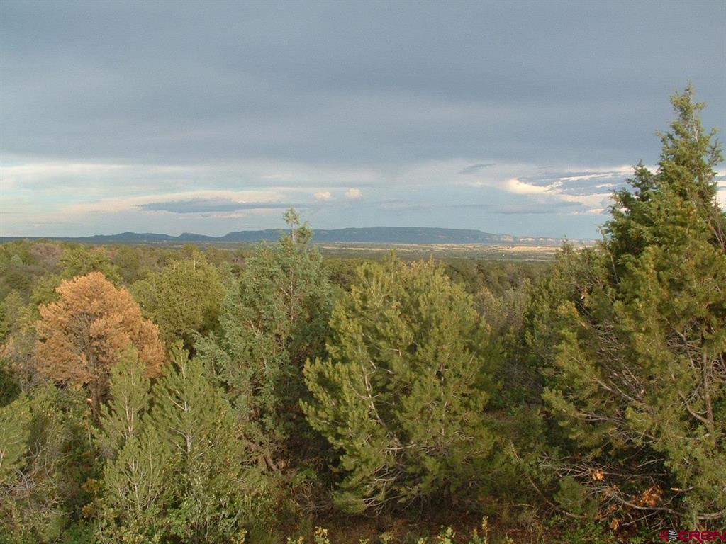 Tbd De Oro Way Hesperus CO 81326