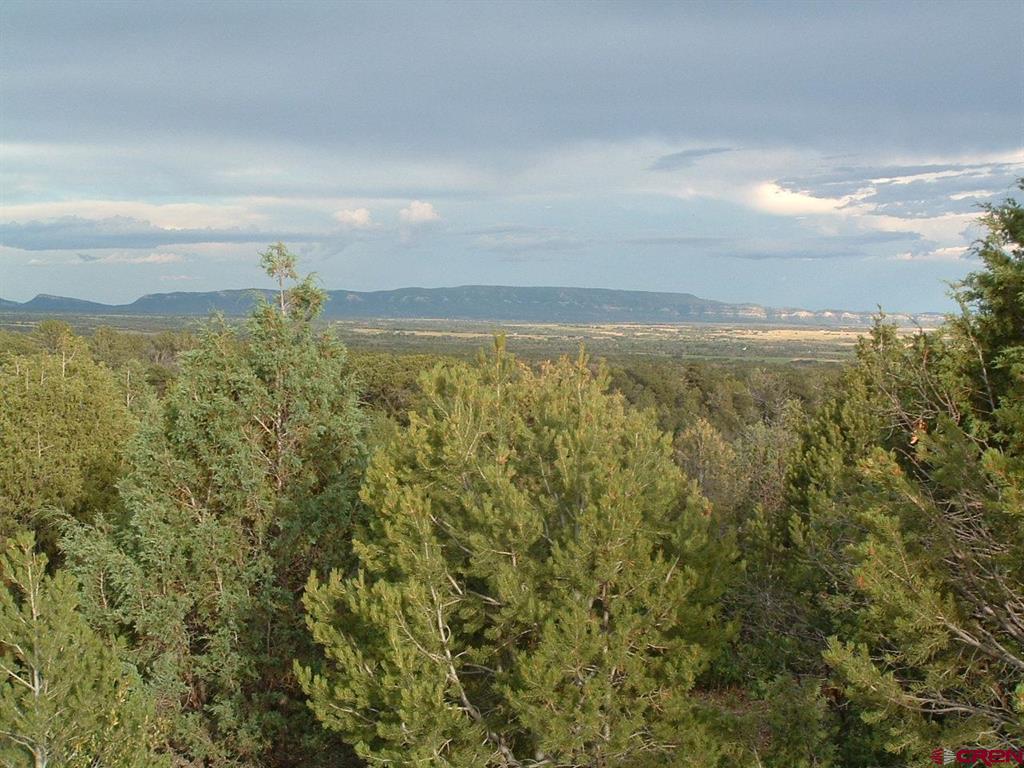 Tbd De Oro Way Hesperus CO 81326