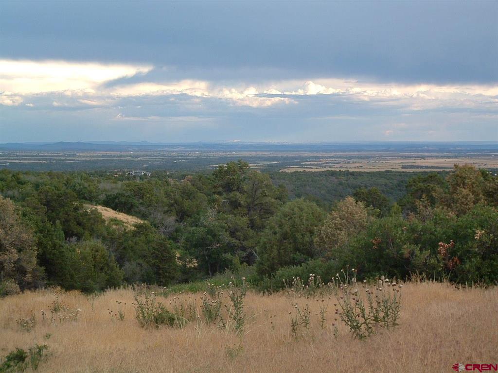 Tbd De Oro Way Hesperus CO 81326