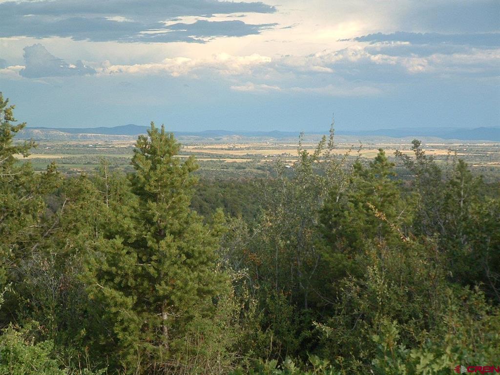 Tbd De Oro Way Hesperus CO 81326