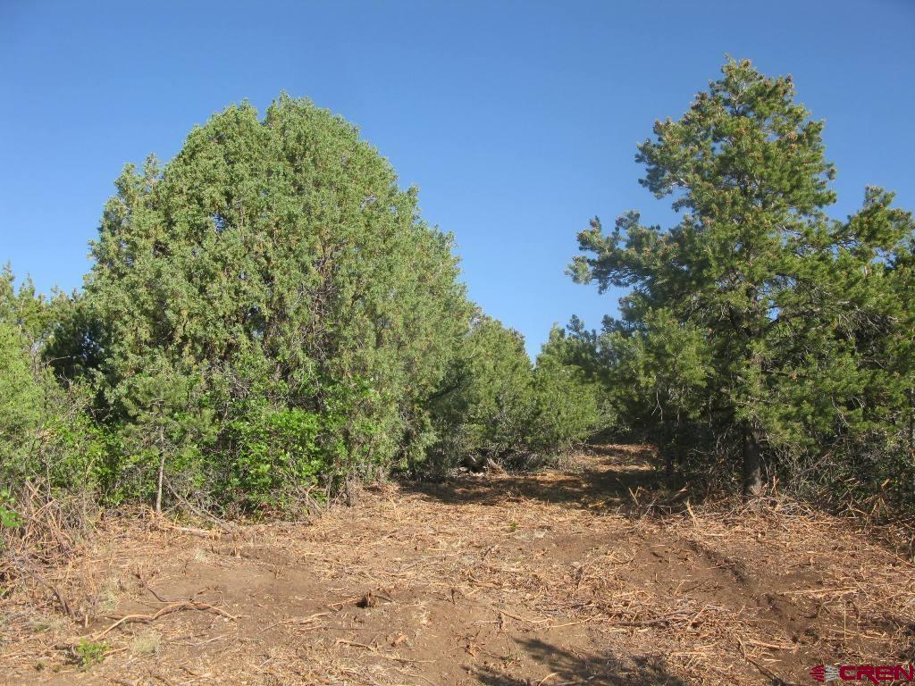 Tbd De Oro Way Hesperus CO 81326
