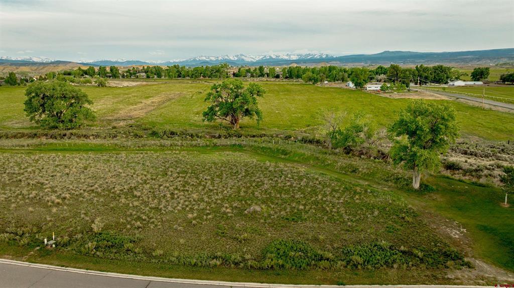 3302 Donnegal Drive Montrose CO 81401