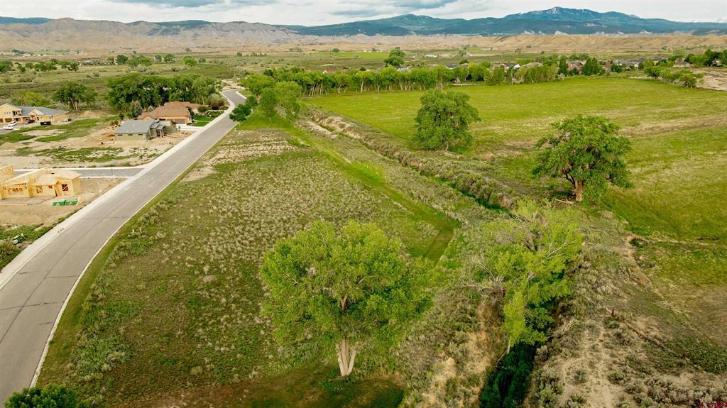 3302 Donnegal Drive Montrose CO 81401