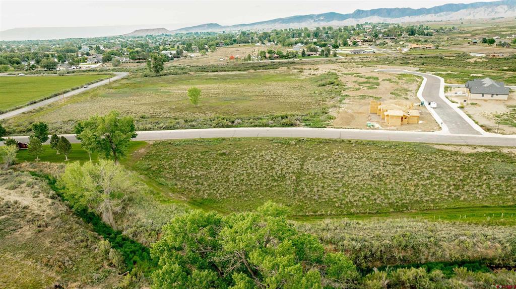 3302 Donnegal Drive Montrose CO 81401