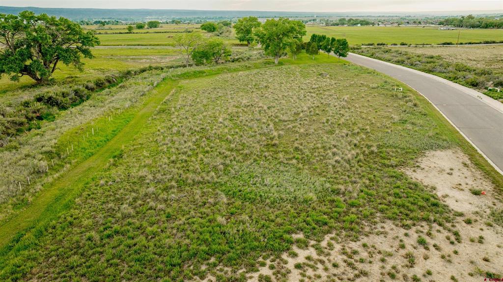 3302 Donnegal Drive Montrose CO 81401