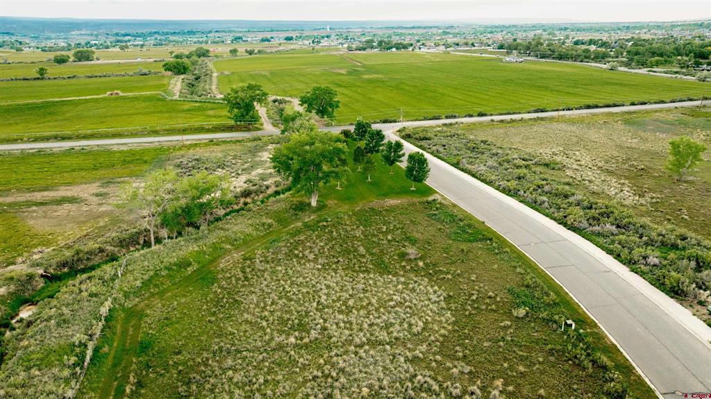 3302 Donnegal Drive Montrose CO 81401