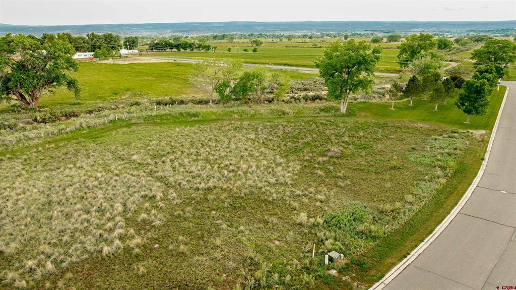 3302 Donnegal Drive Montrose CO 81401