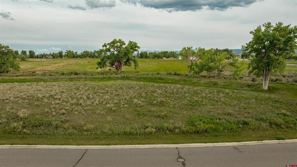 3302 Donnegal Drive Montrose CO 81401