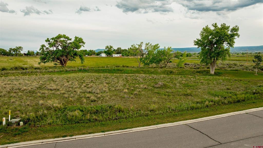 3302 Donnegal Drive Montrose CO 81401