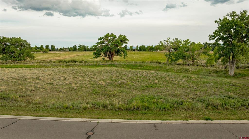 3302 Donnegal Drive Montrose CO 81401