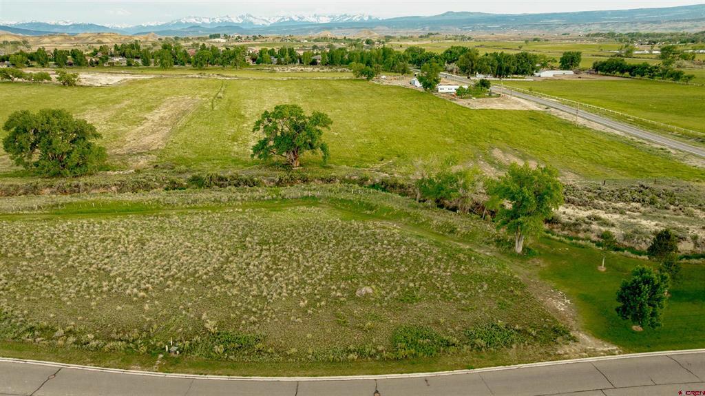 3302 Donnegal Drive Montrose CO 81401
