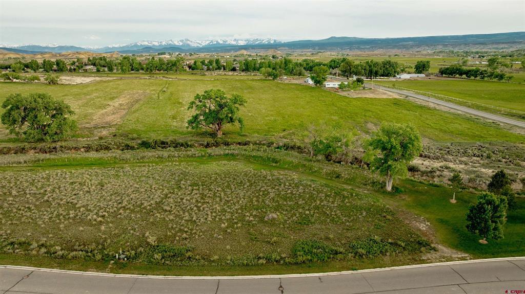 3302 Donnegal Drive Montrose CO 81401