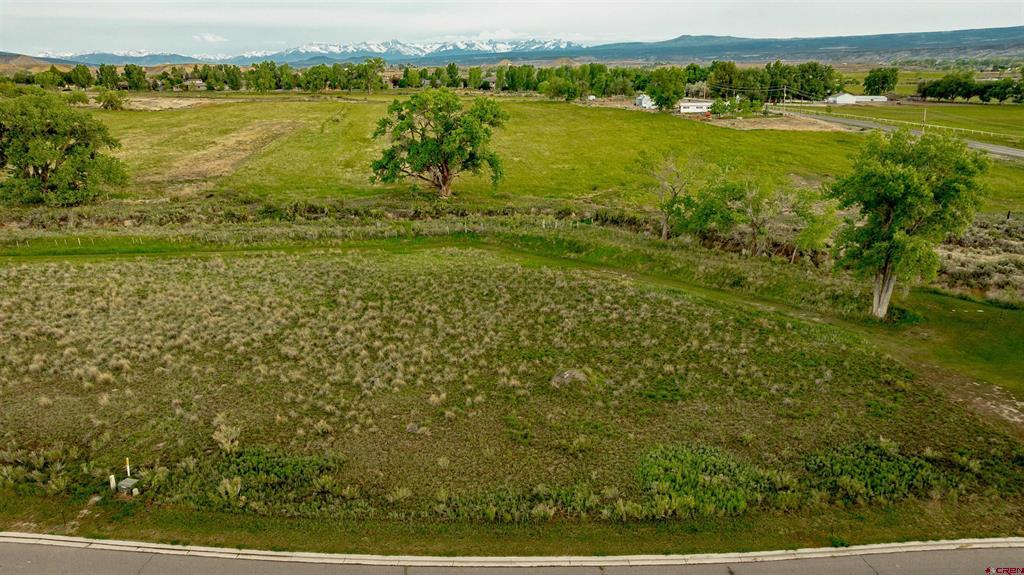 3302 Donnegal Drive Montrose CO 81401
