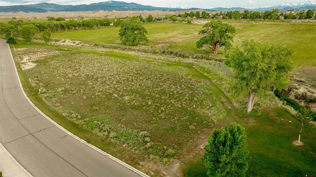 3302 Donnegal Drive Montrose CO 81401
