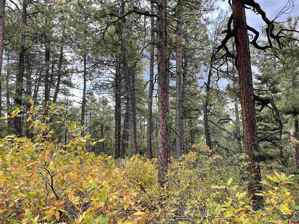 366 & 394 Pine Ridge Drive Bayfield CO 81122