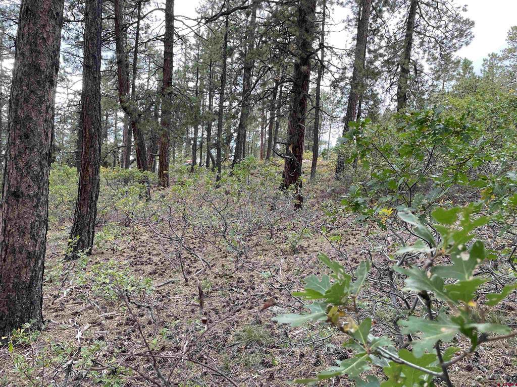 366 & 394 Pine Ridge Drive Bayfield CO 81122