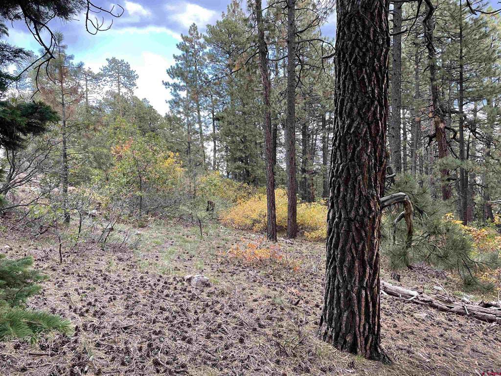 366 & 394 Pine Ridge Drive Bayfield CO 81122