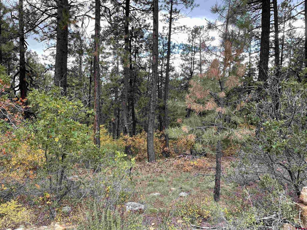 366 & 394 Pine Ridge Drive Bayfield CO 81122