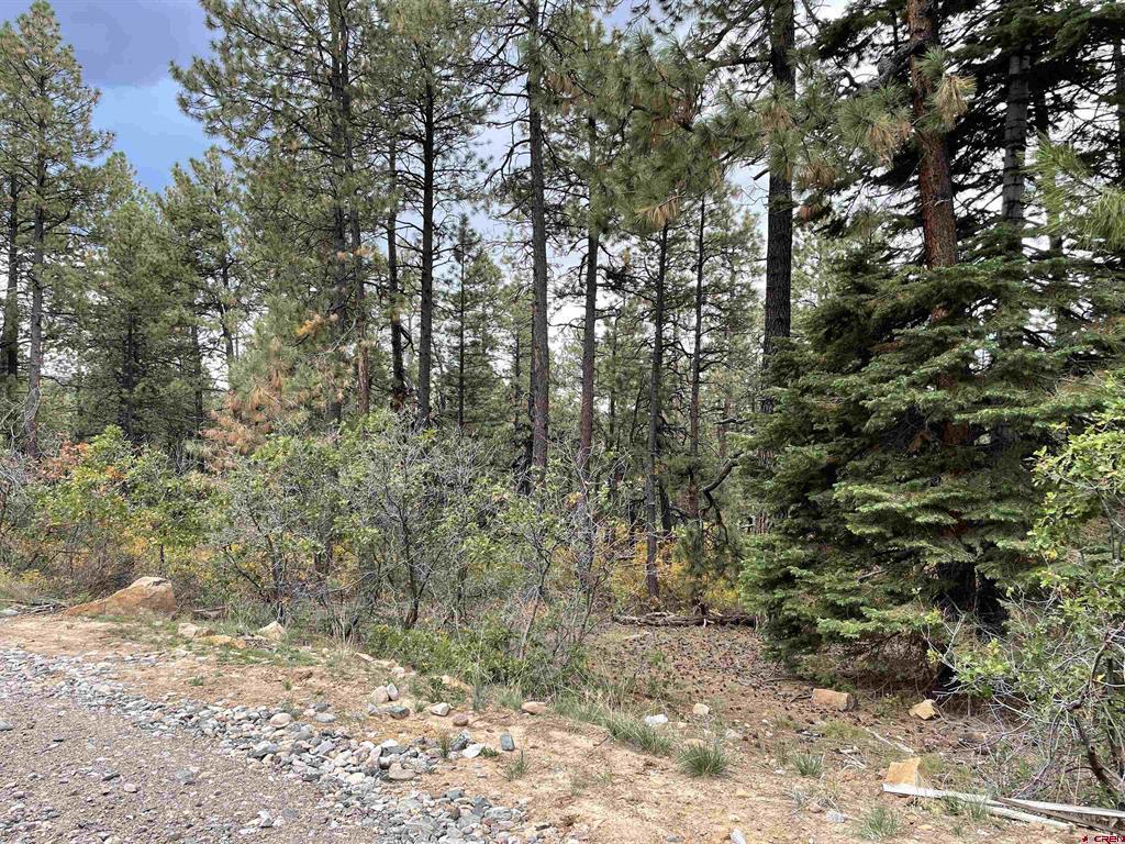366 & 394 Pine Ridge Drive Bayfield CO 81122