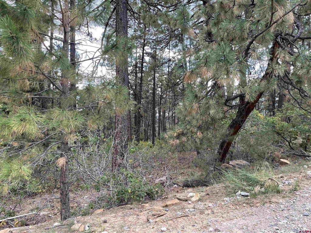 366 & 394 Pine Ridge Drive Bayfield CO 81122
