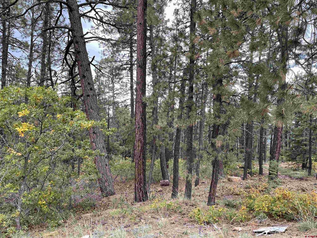 366 & 394 Pine Ridge Drive Bayfield CO 81122