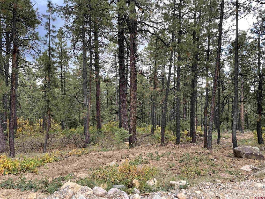 366 & 394 Pine Ridge Drive Bayfield CO 81122