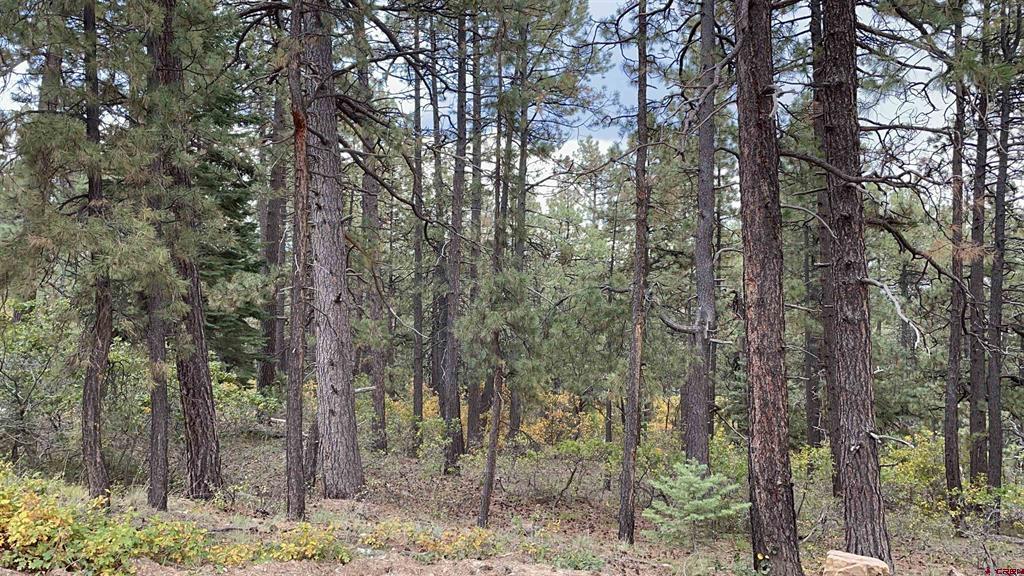 366 & 394 Pine Ridge Drive Bayfield CO 81122