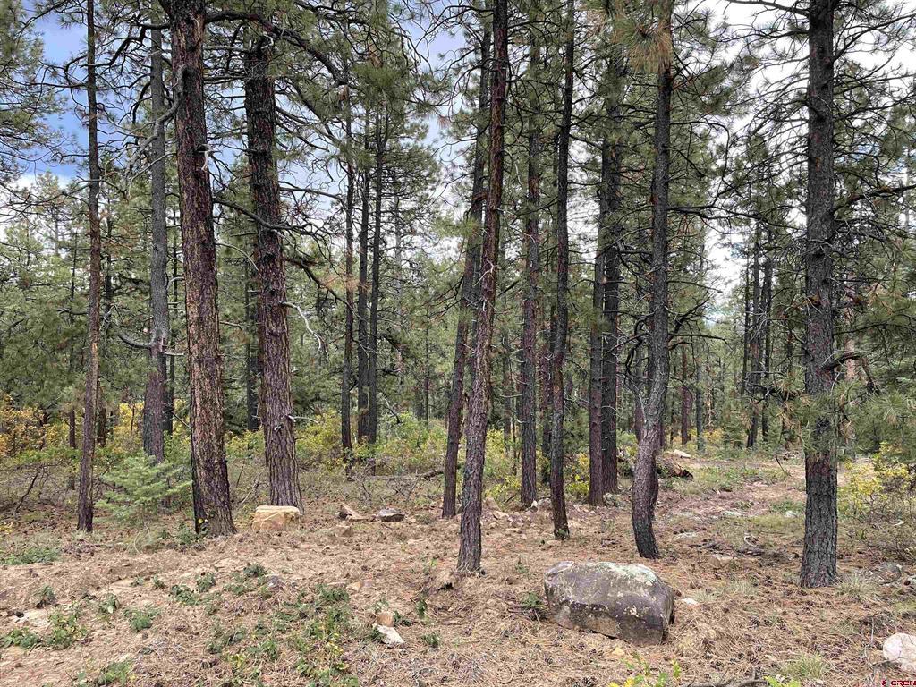366 & 394 Pine Ridge Drive Bayfield CO 81122