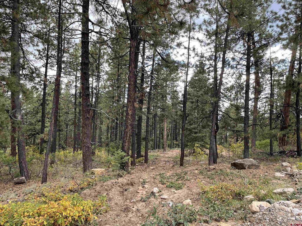 366 & 394 Pine Ridge Drive Bayfield CO 81122