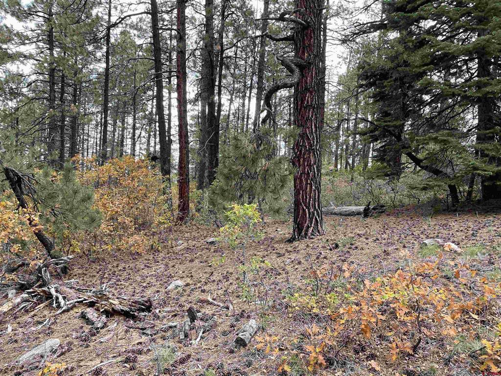 366 & 394 Pine Ridge Drive Bayfield CO 81122