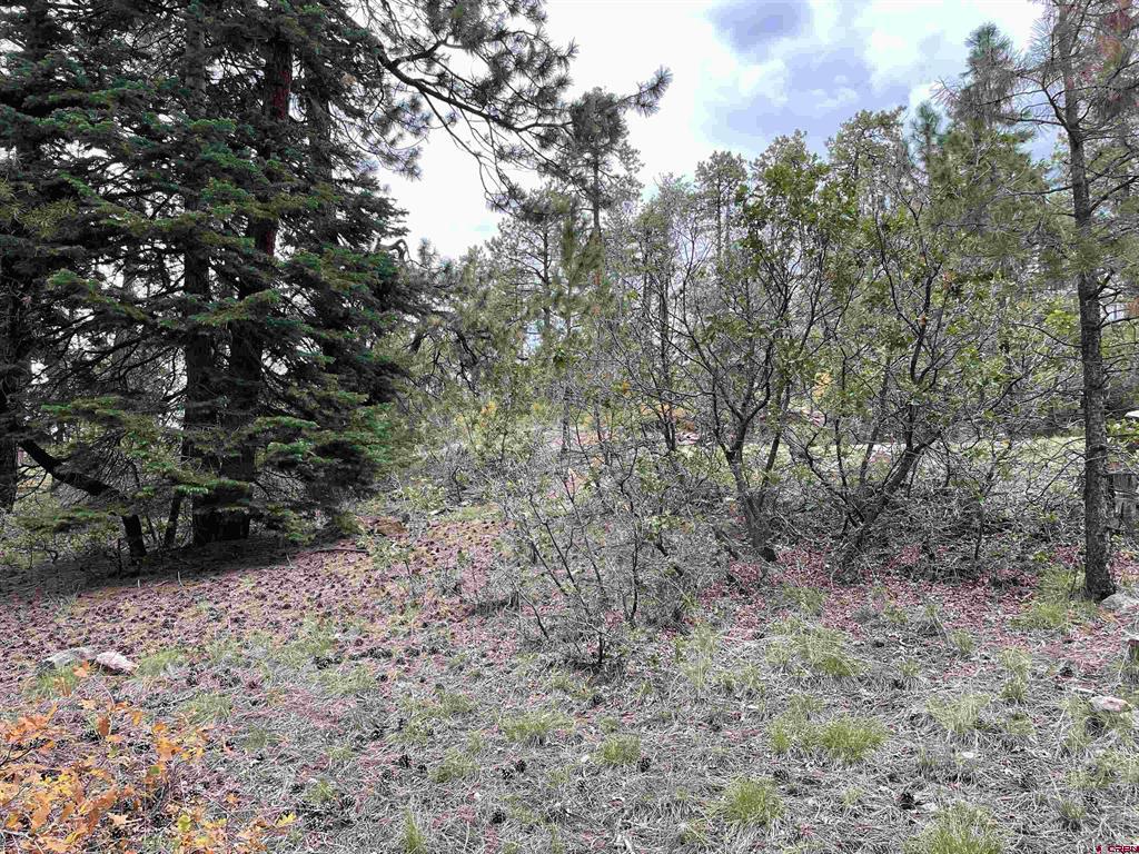 366 & 394 Pine Ridge Drive Bayfield CO 81122