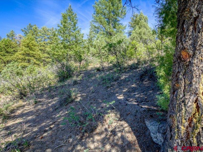 27 D Place Pagosa Springs CO 81147