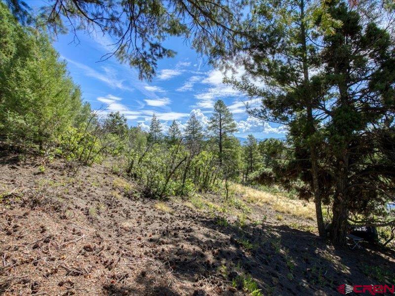 27 D Place Pagosa Springs CO 81147