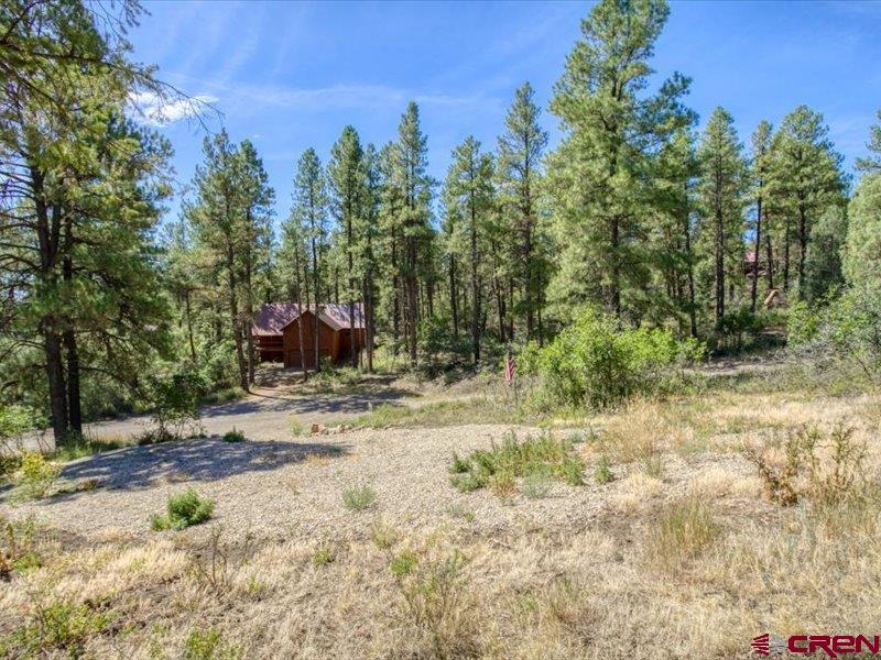 27 D Place Pagosa Springs CO 81147