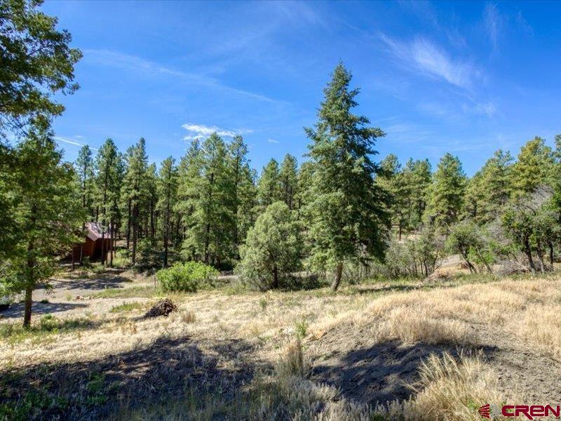 27 D Place Pagosa Springs CO 81147